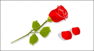 红色玫瑰花与花瓣矢量图