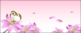 粉红色的花与蝴蝶矢量图