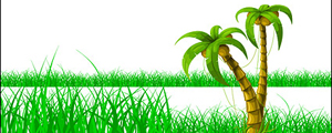 椰子树草丛矢量图