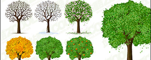 四季的树木矢量图