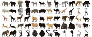 50款动物及剪影矢量图