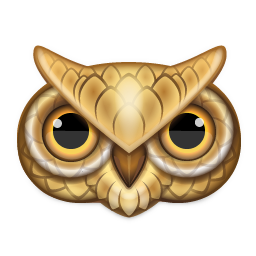 owl 猫头鹰