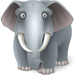 大象 Elephant