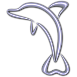 dolphin 海豚 