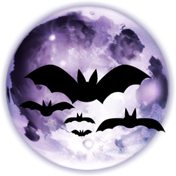 Full Moon 满月 蝙蝠