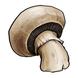 Mushroom 蘑菇