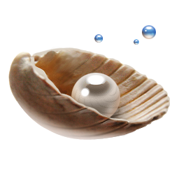 pearl 珍珠