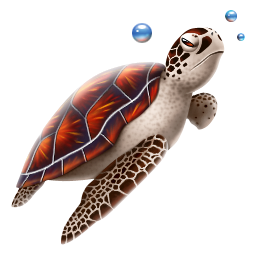 turtle 海龟