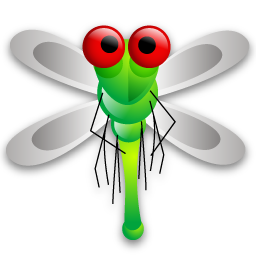 dragon fly 蜻蜓