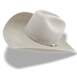 白色牛仔帽