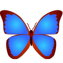 蓝色棕色蝴蝶