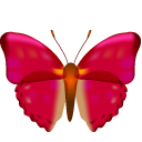 红色透明蝴蝶