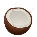 Coconut 椰子