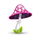 pink-mushroom 蘑菇