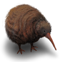 kiwi_flightless_bird