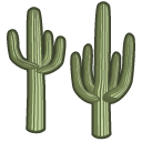 cactus_Saguaro 仙人掌