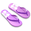 紫色拖鞋