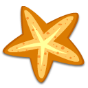 starfish 海星