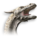 dragon 恐龙