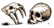 手绘各种头骨PNG图标