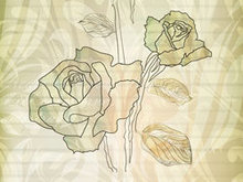 淡雅玫瑰花纹背景矢量图5