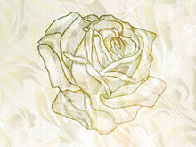 淡雅玫瑰花纹背景矢量图3