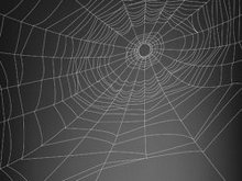 蜘蛛网背景矢量图4
