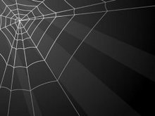 蜘蛛网背景矢量图