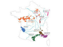 法国葡萄酒产区地图矢量图