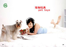 宠物玩具产品宣传画册PSD素材