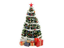 精美圣诞树高清图片3
