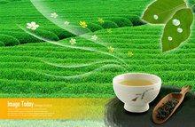 绿色茶山绿茶广告psd素材