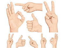 手指手势矢量图