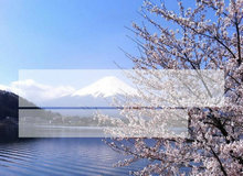 日本美景富士山下PPT模板