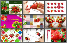世界草莓营销策划PPT模板
