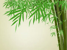 绿竹背景文本模板矢量图2