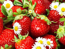 草莓图片高清图片4