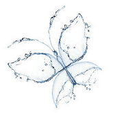 水组成的蝴蝶图形图片素材