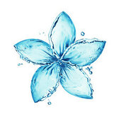 水组成的花瓣图案图片素材