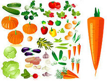 蔬菜图片矢量图2