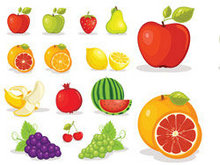 水果图片矢量图1