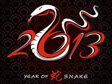 2013蛇年设计矢量图