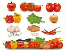 蔬菜图片矢量图1