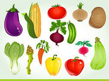 蔬菜背景矢量图4