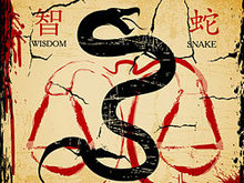 中国风蛇年卡片矢量图3