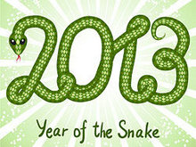 2013蛇年创意图形矢量图04