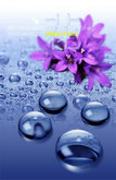 紫色花朵水滴psd素材