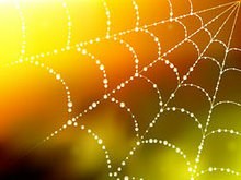 露水的蜘蛛网矢量图1