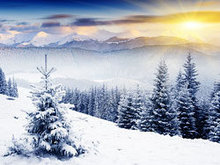 冬季雪景雪花高清图片9_高清图片