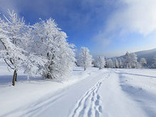 冬季雪景雪花高清图片5_高清图片